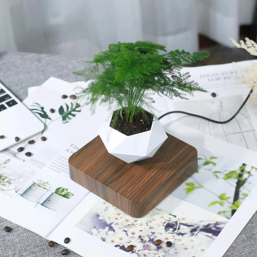 Levitating Air Bonsai Pot – Magnetic Floating Planter