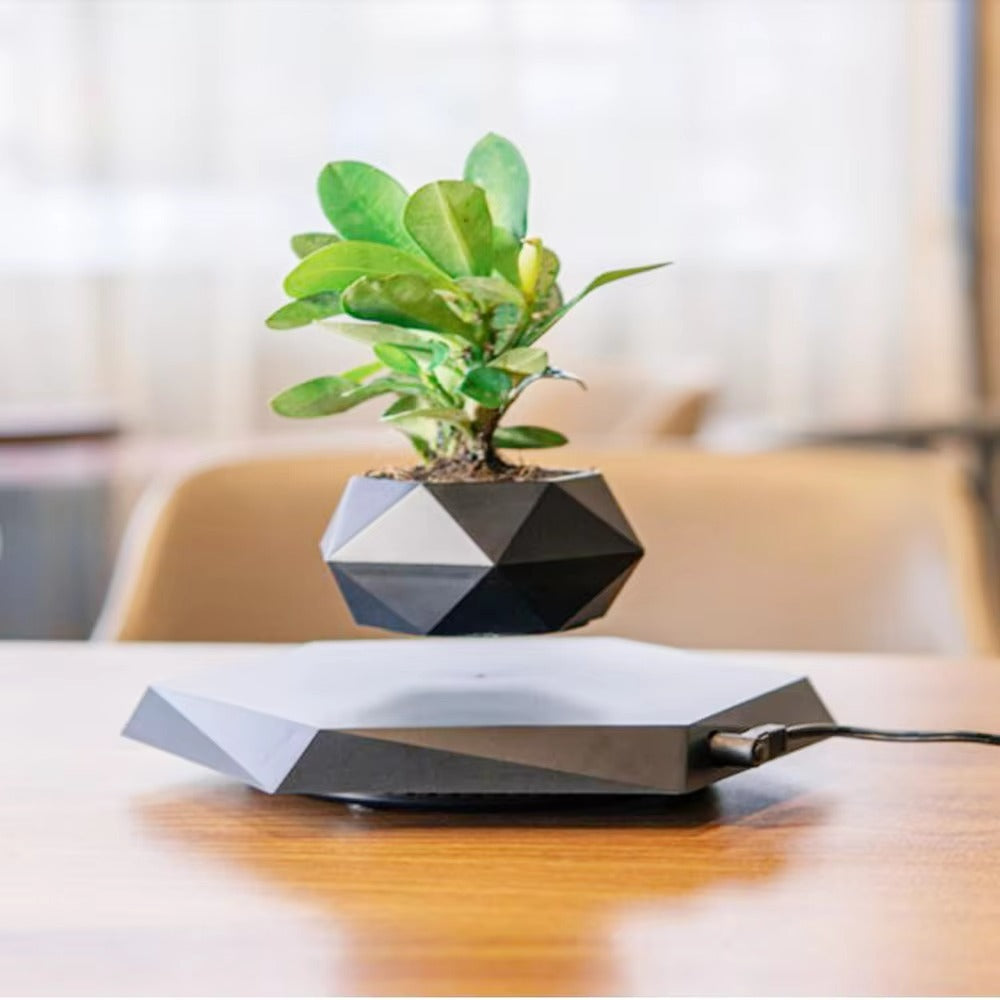 Levitating Air Bonsai Pot – Magnetic Floating Planter